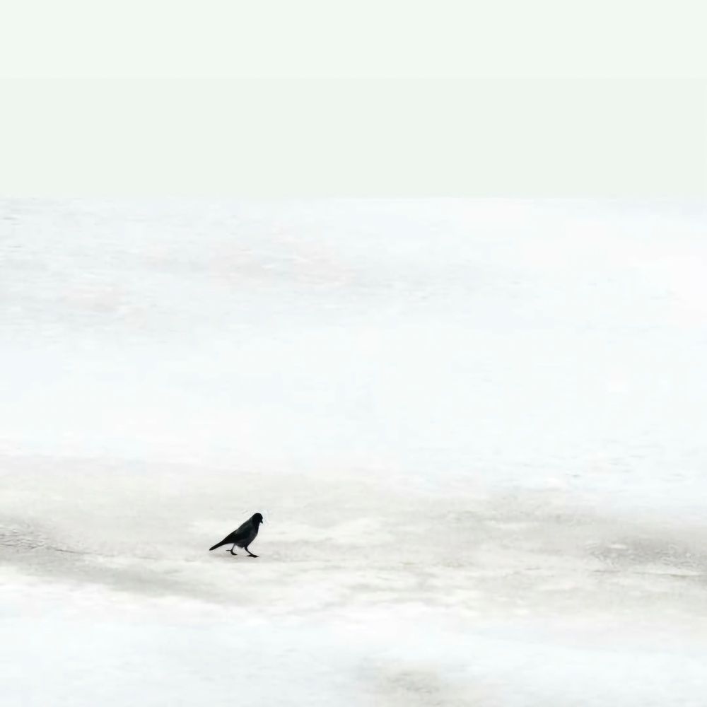 Photograph by Полина Кальтер