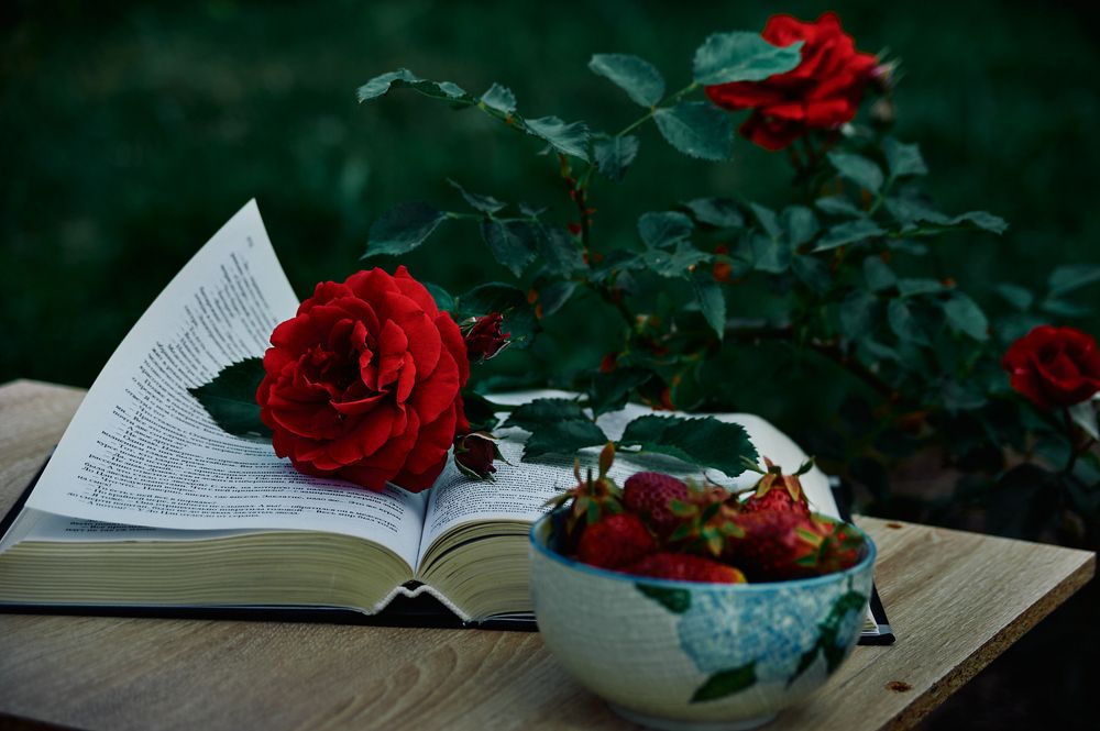 Photograph by Константин Громов