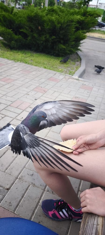 Photograph by Ирина Данилова