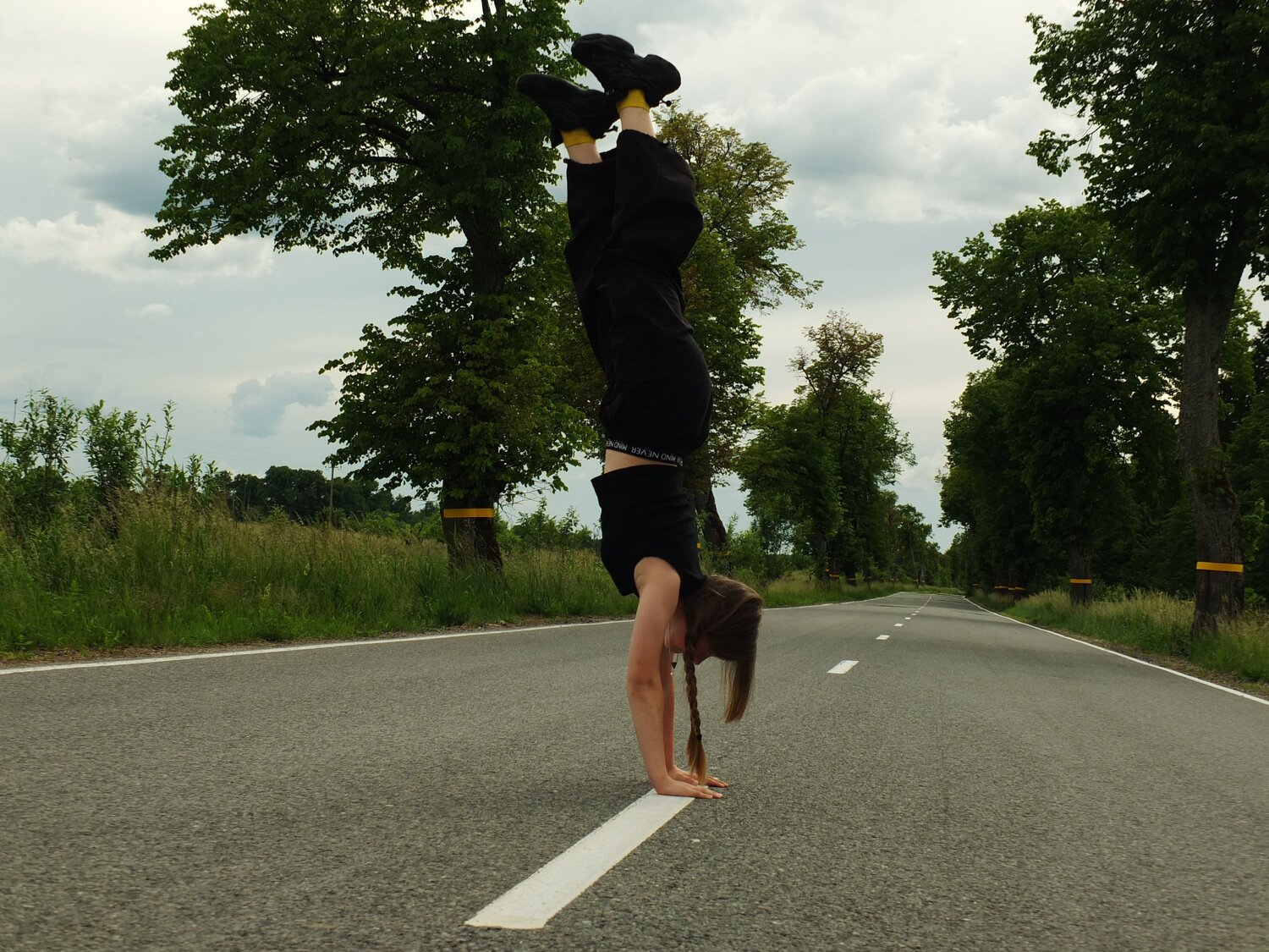 Photo #13686104