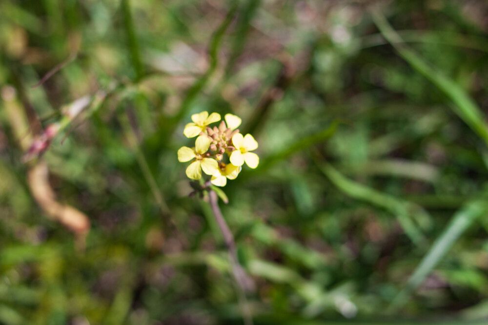 Photograph by Елена Казаренко