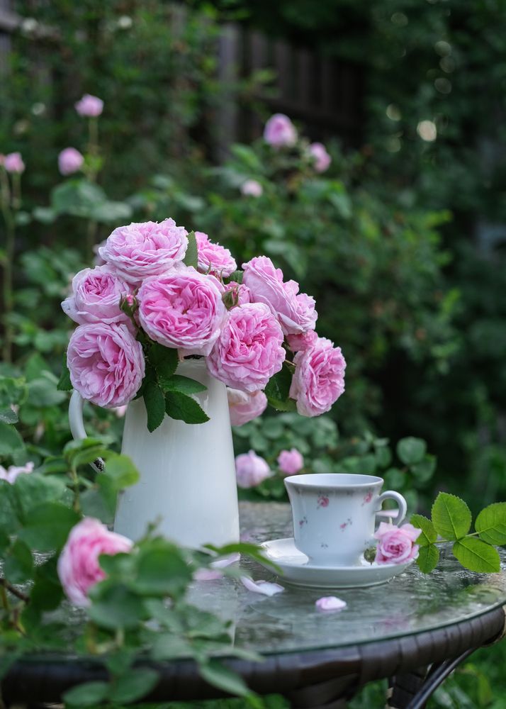 Photograph by Елена Никишина