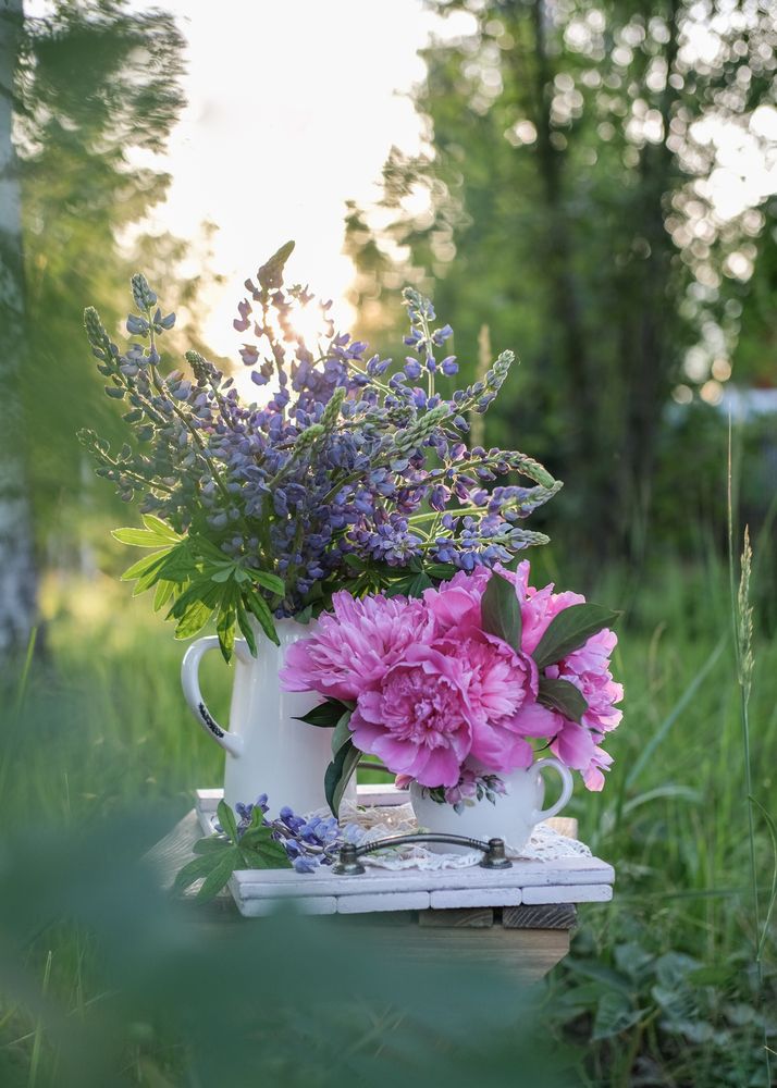Photograph by Елена Никишина
