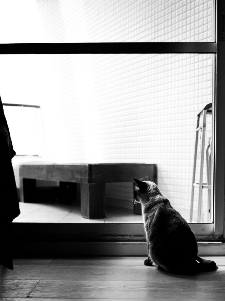 Photograph by Daria Rozenblium