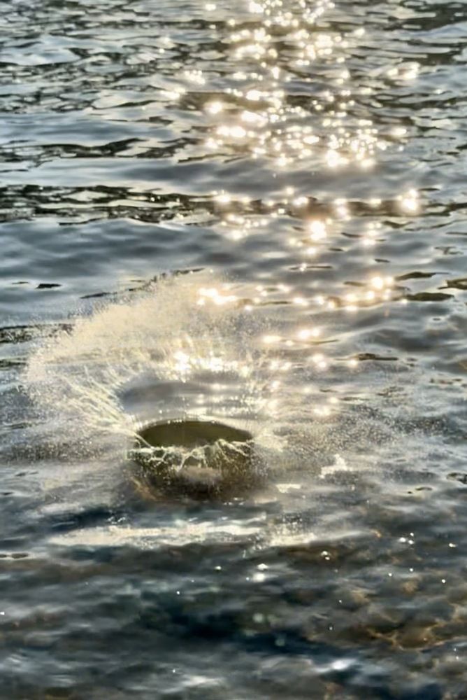 Photograph by Deyan Borisov