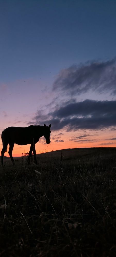 Photograph by Марина Толкодубова