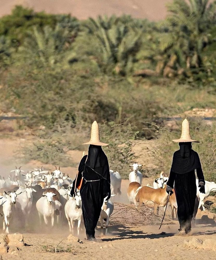 Photograph by Yahya Almorisi