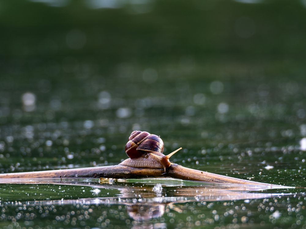 Photograph by Денис Лобов