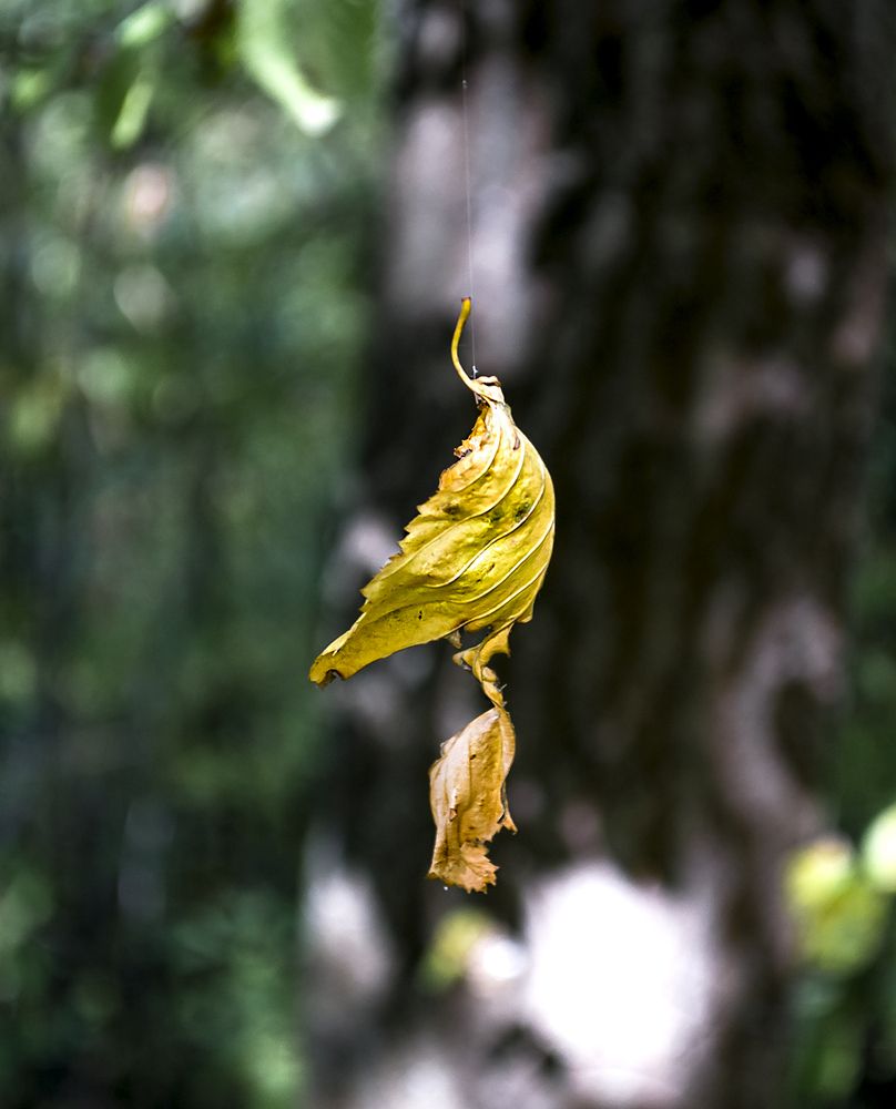 Photograph by Natalie Chaikovskaya