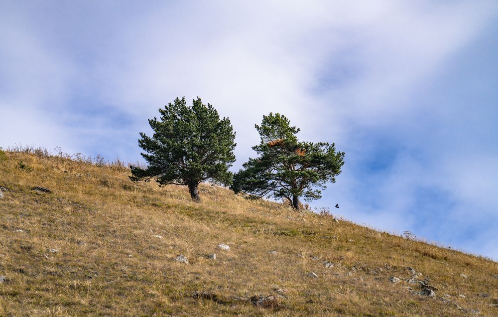 Photograph by Константин Яковлев