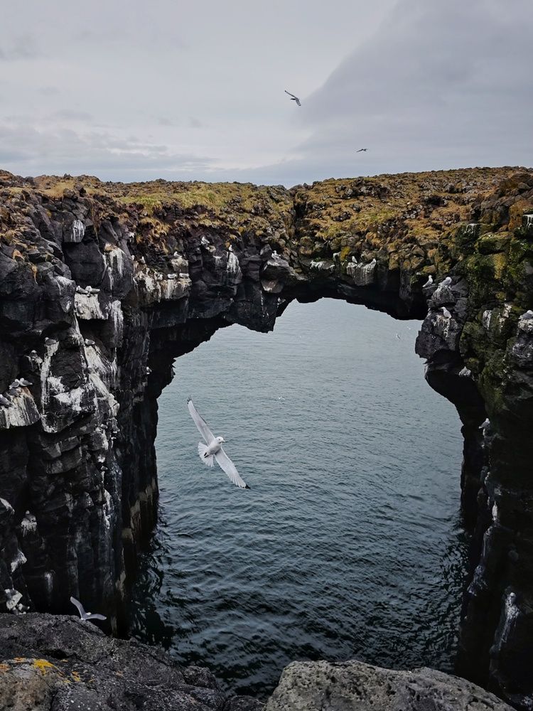 Photograph by Татьяна Соколовская