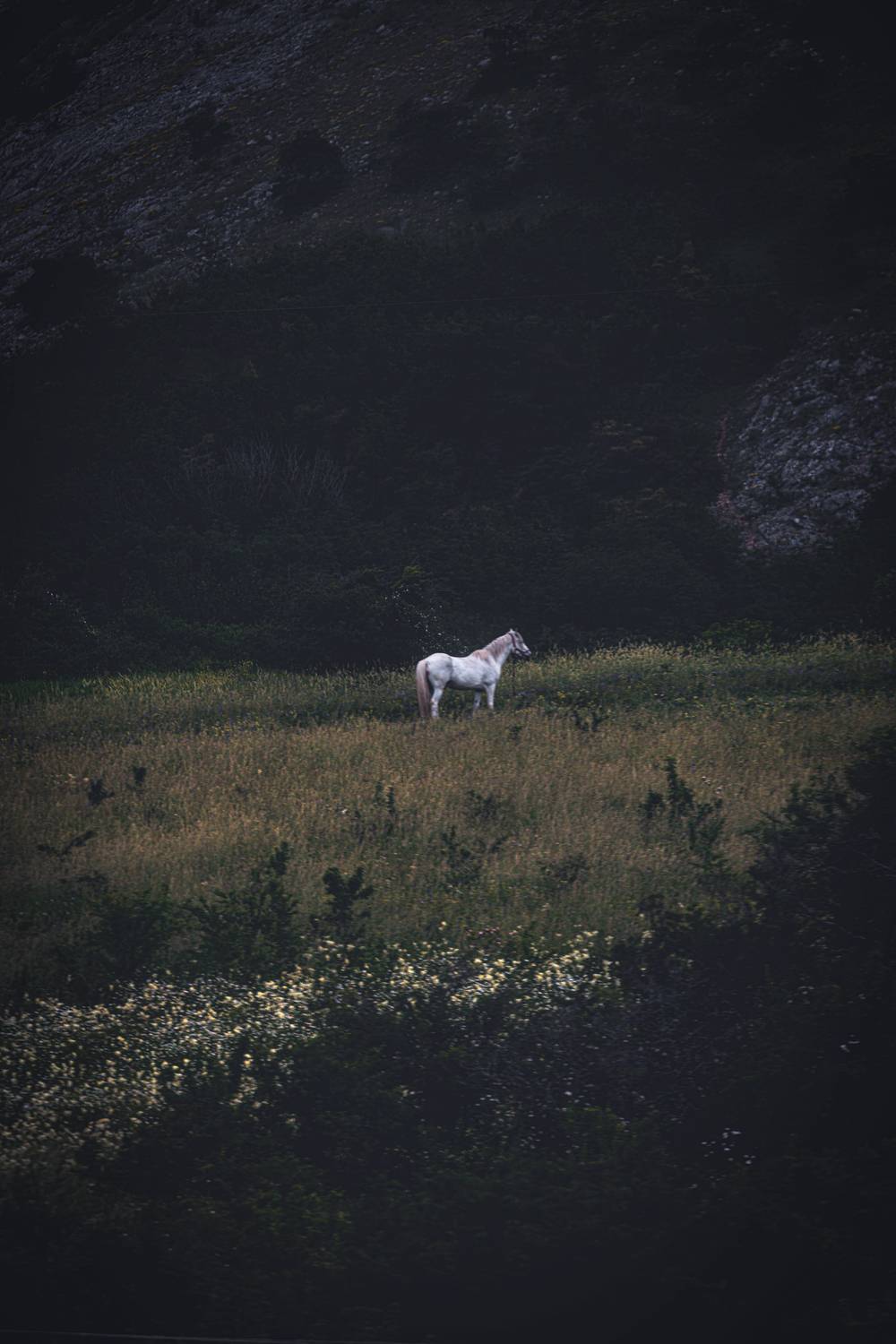 Photo #13686432
