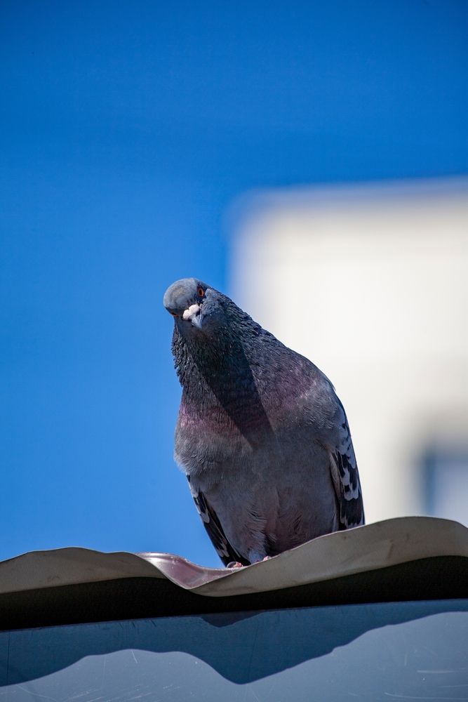 Photograph by Александр Юрьевич С