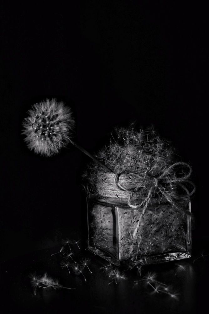 Photograph by Tofan Camelia
