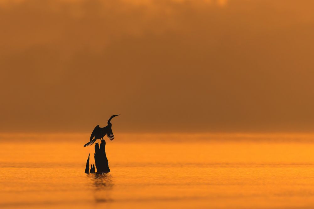 Photograph by Mohamed Meeran Syed