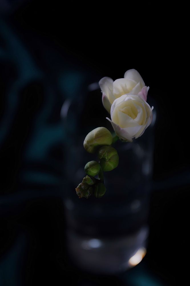 Photograph by Юлия Тимофеева