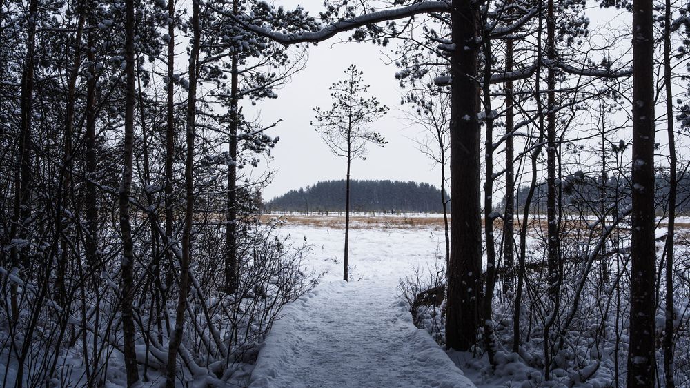 Photograph by Артем Порубаев