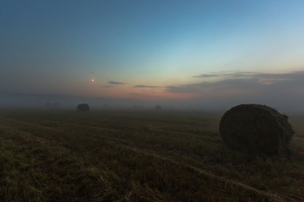 Photograph by Литвинов Александр
