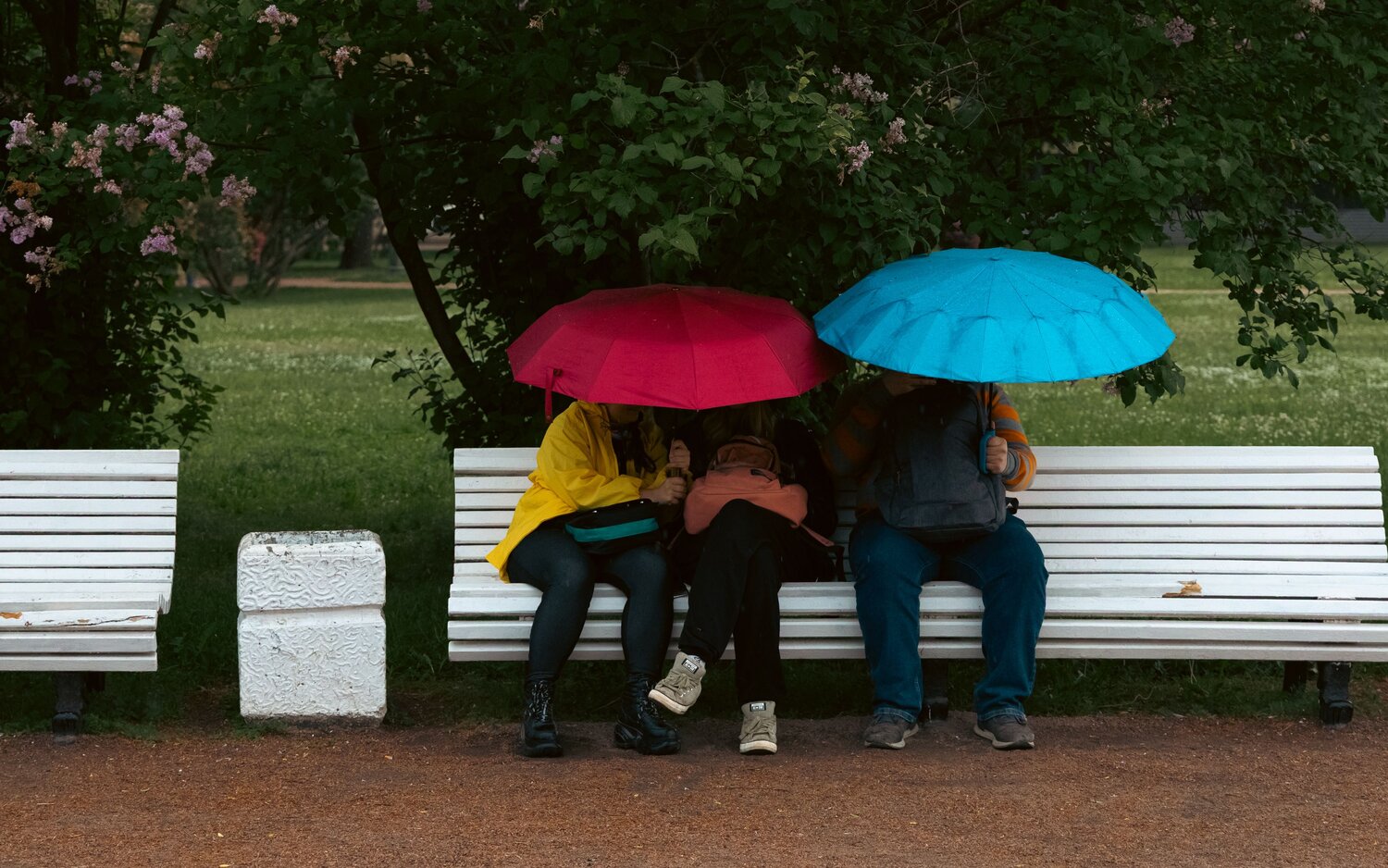 Photo #13686763