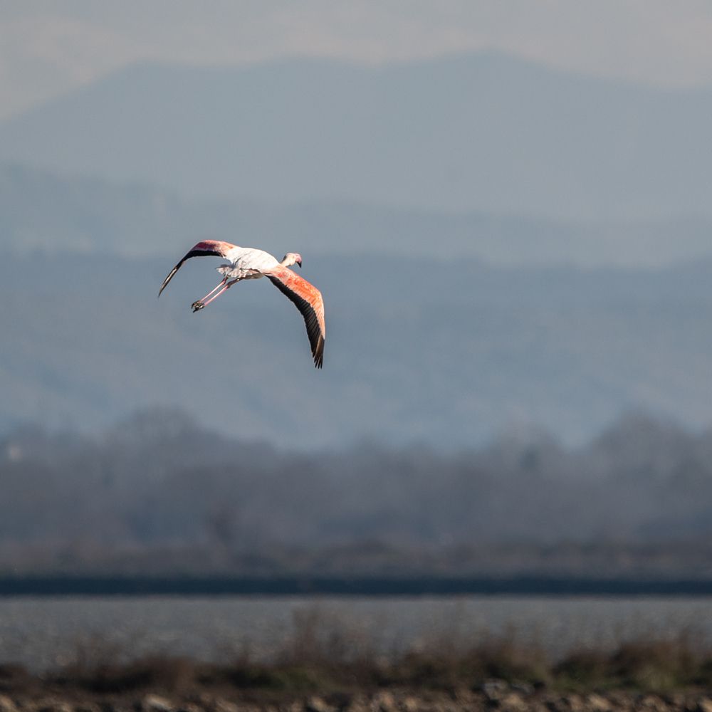 Photograph by Анна Стрелковская