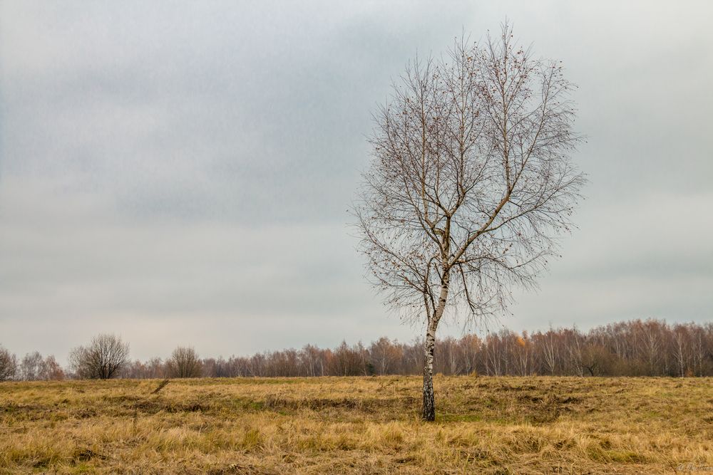 Photograph by Ольга Холкина