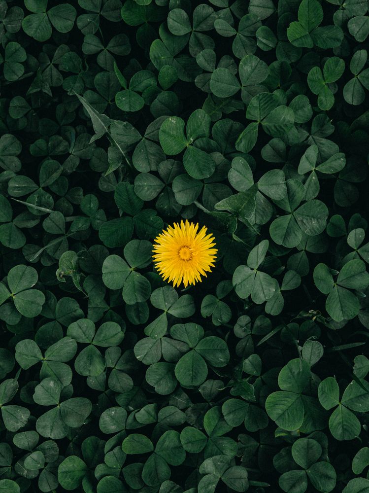 Photograph by Гузель Гнилорыбова