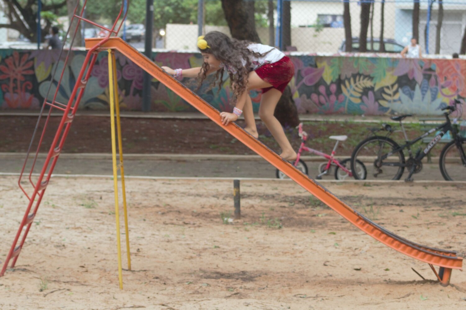 Photo #13686888
