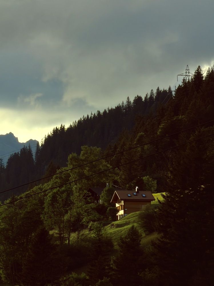 Photograph by Tanja Gutjahr