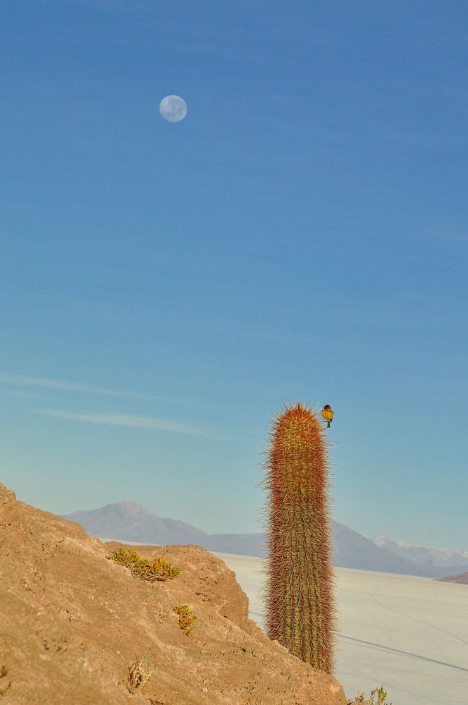 Photograph by Erich Conzelmann