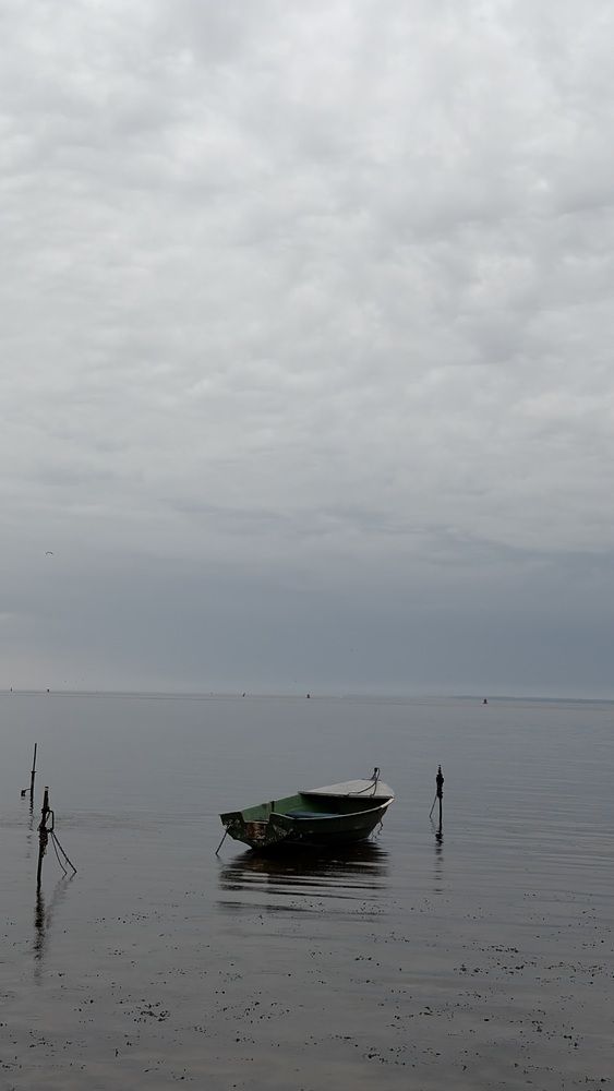 Photograph by Дерягина Татьяна