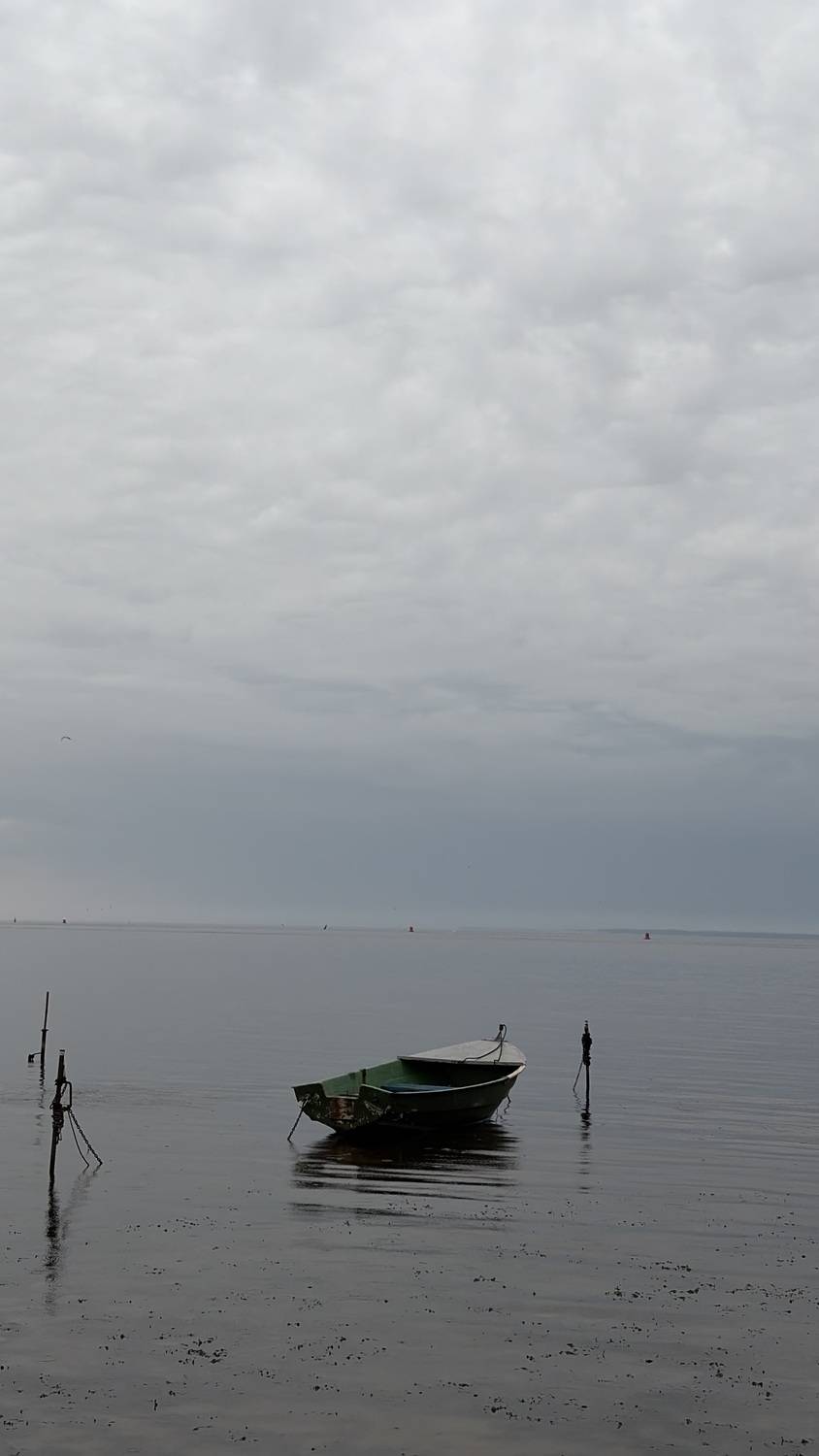 Photo #13686920