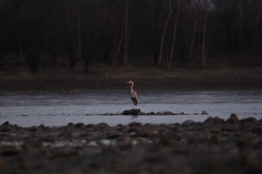 Фотография автора Тимофей Федоровцев