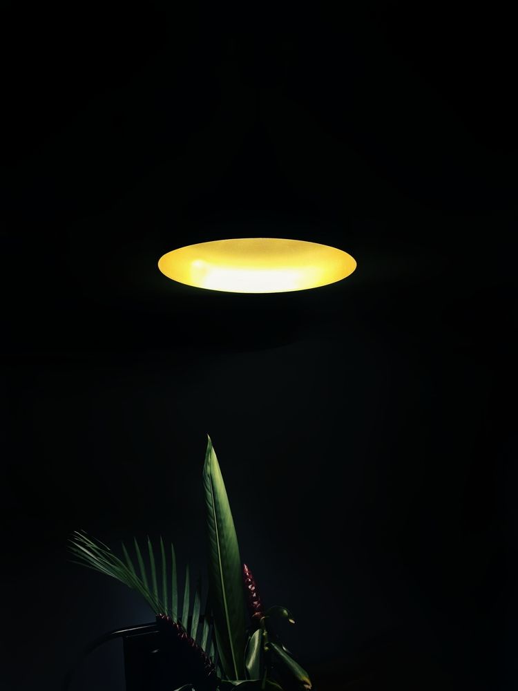 Photograph by Vishnu Prasad