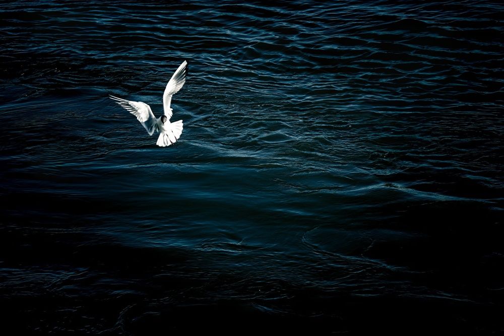 Photograph by Елена Берсенёва