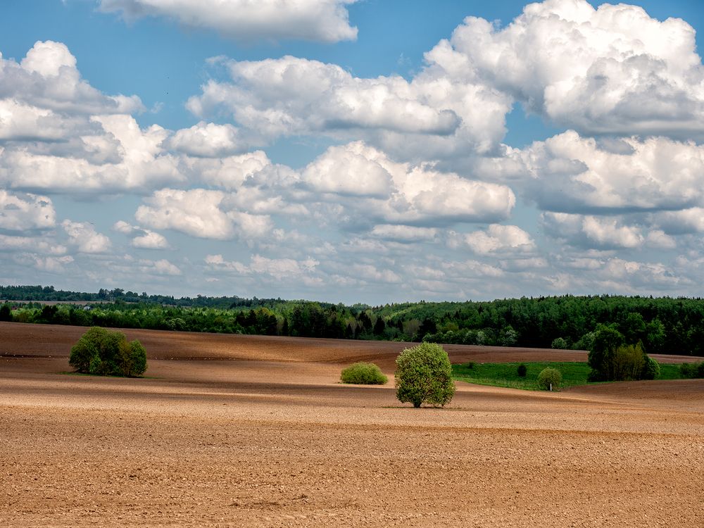 Photograph by Марина Брыдня