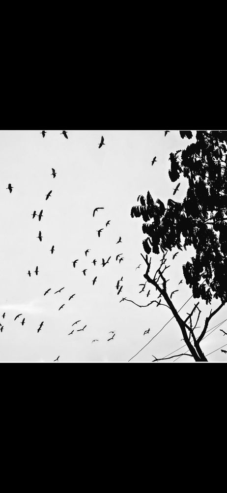 Фотография автора Karthik M