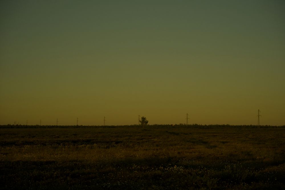Photo #13687072