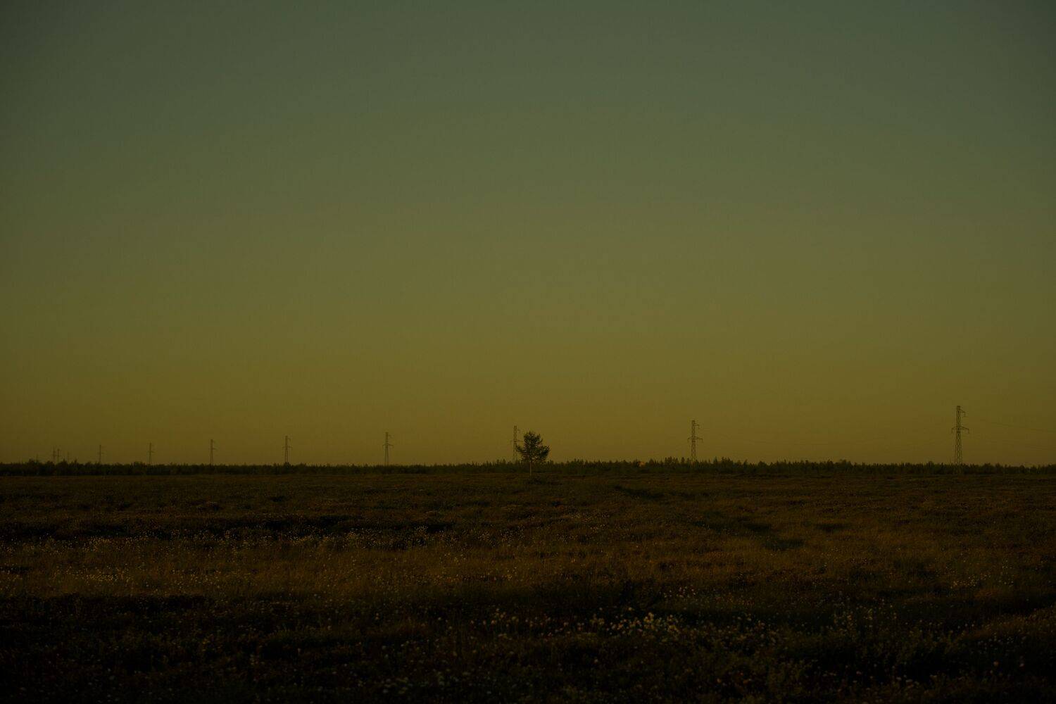 Photo #13687072