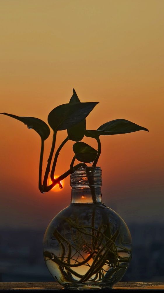 Photograph by Sahil Jadhav