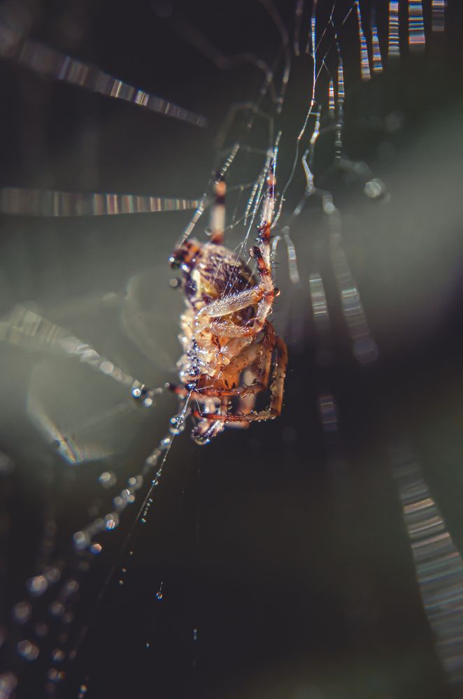Photograph by Любовь Бусова