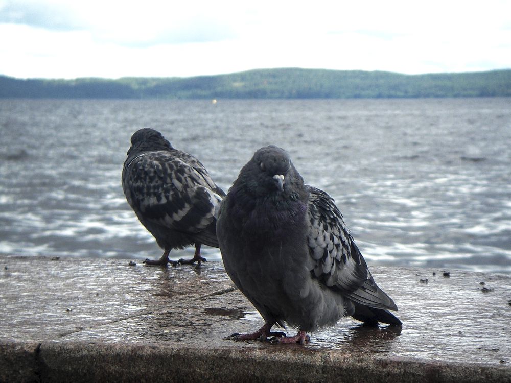 Photograph by Александр