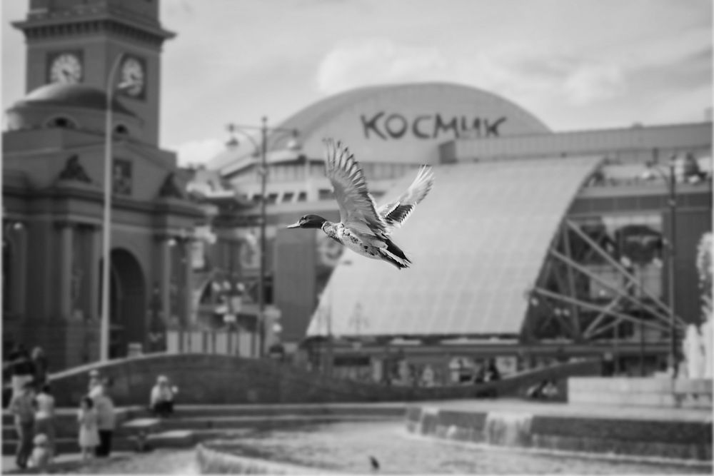 Photograph by Роман Гурененко