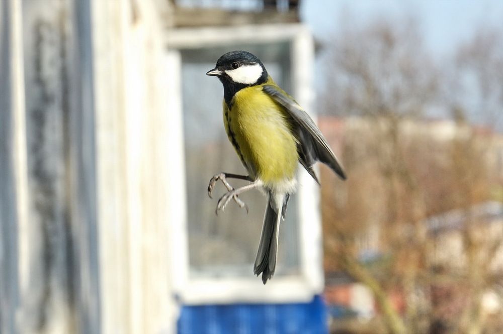 Photograph by Сергей Пидронов