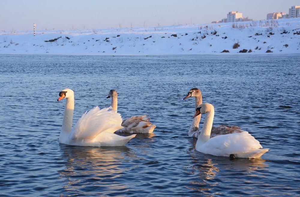 Photograph by Сергей Пидронов