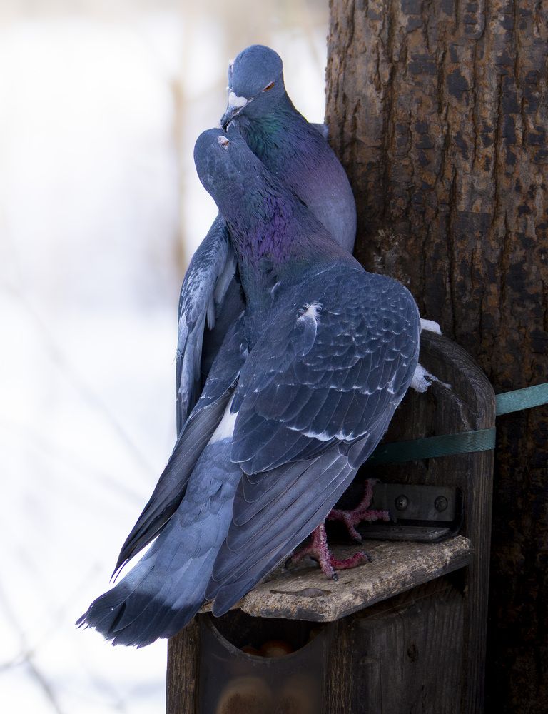Photograph by Вениамин Подолян