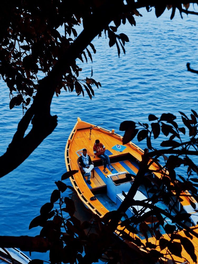 Photograph by Prateek Maurya