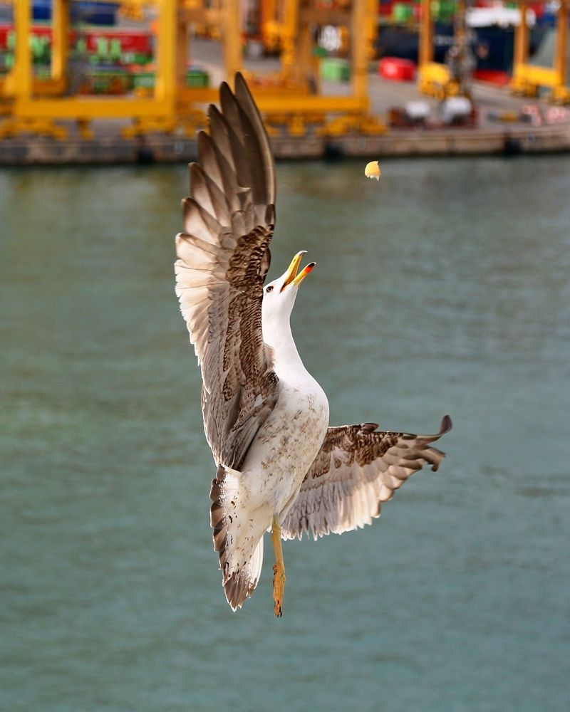 Photograph by Владимир Говоров