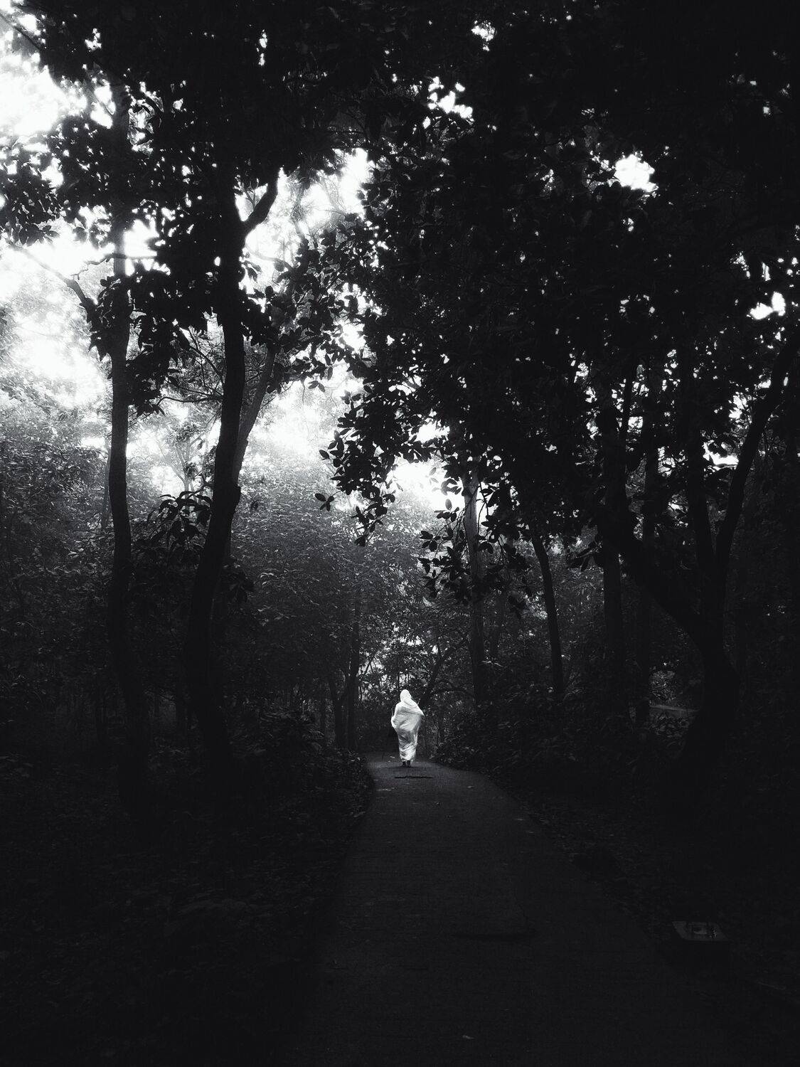 Photo #13687246