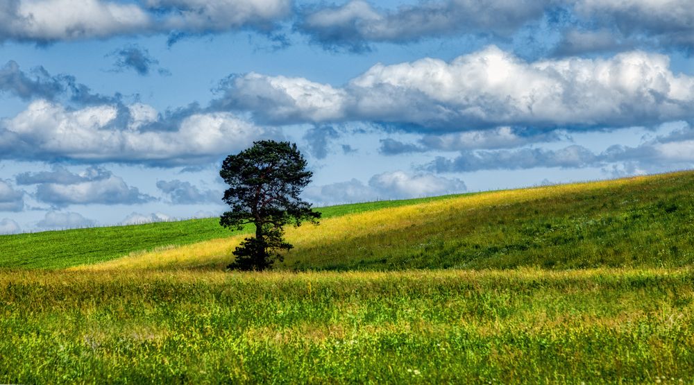 Photograph by Александр Сальников