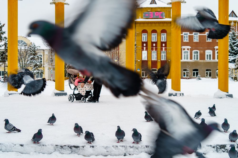 Photograph by Владимир Рогулькин